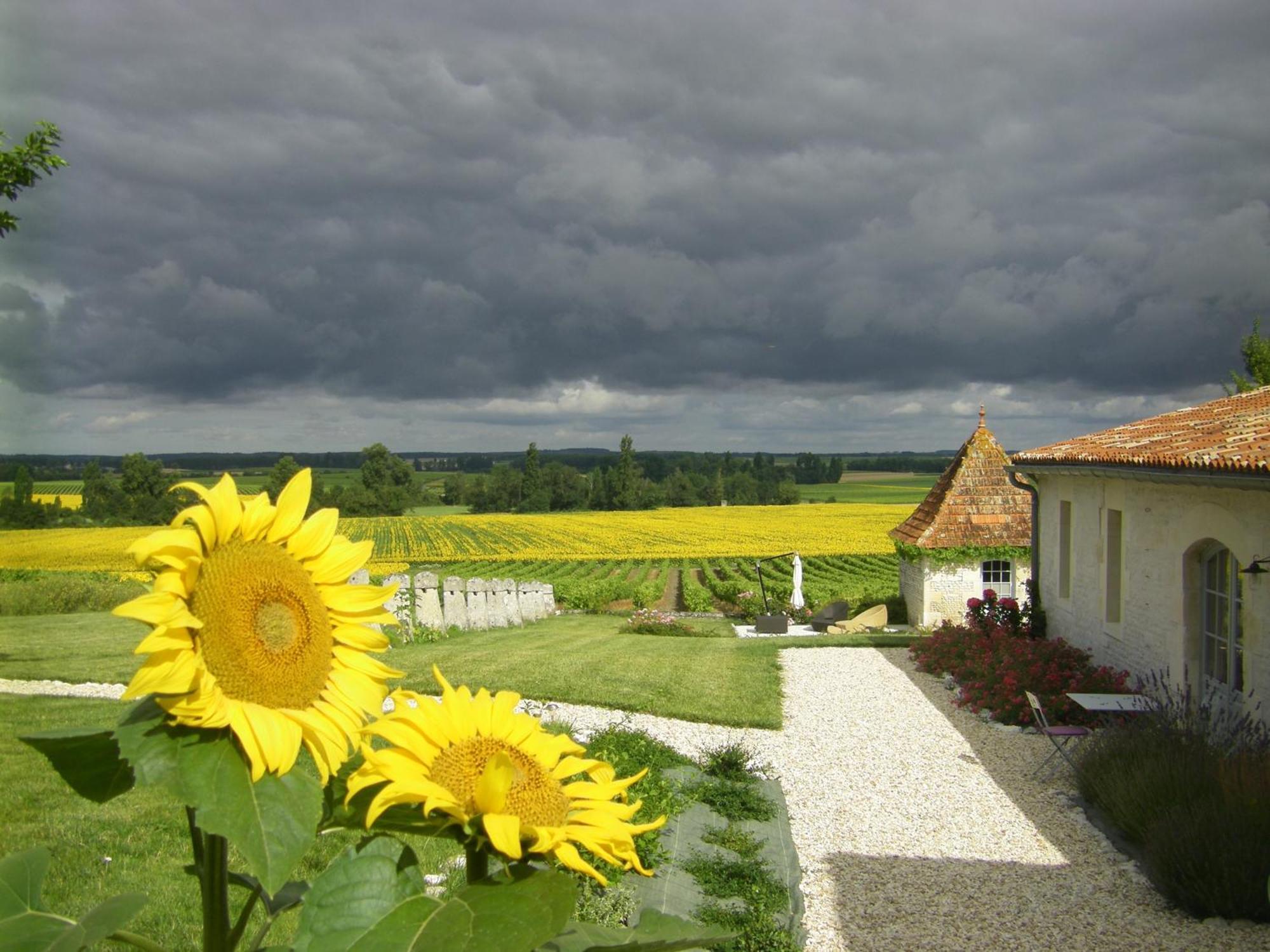 Chambre D'Hotes Clos Des Pierres Blanches Brie-sous-Archiac Dış mekan fotoğraf
